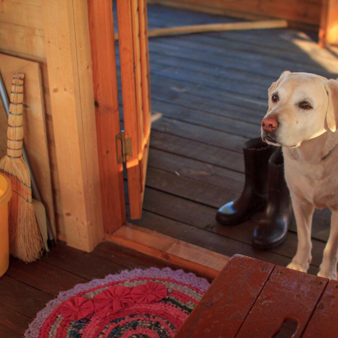 Фото Дом под липой