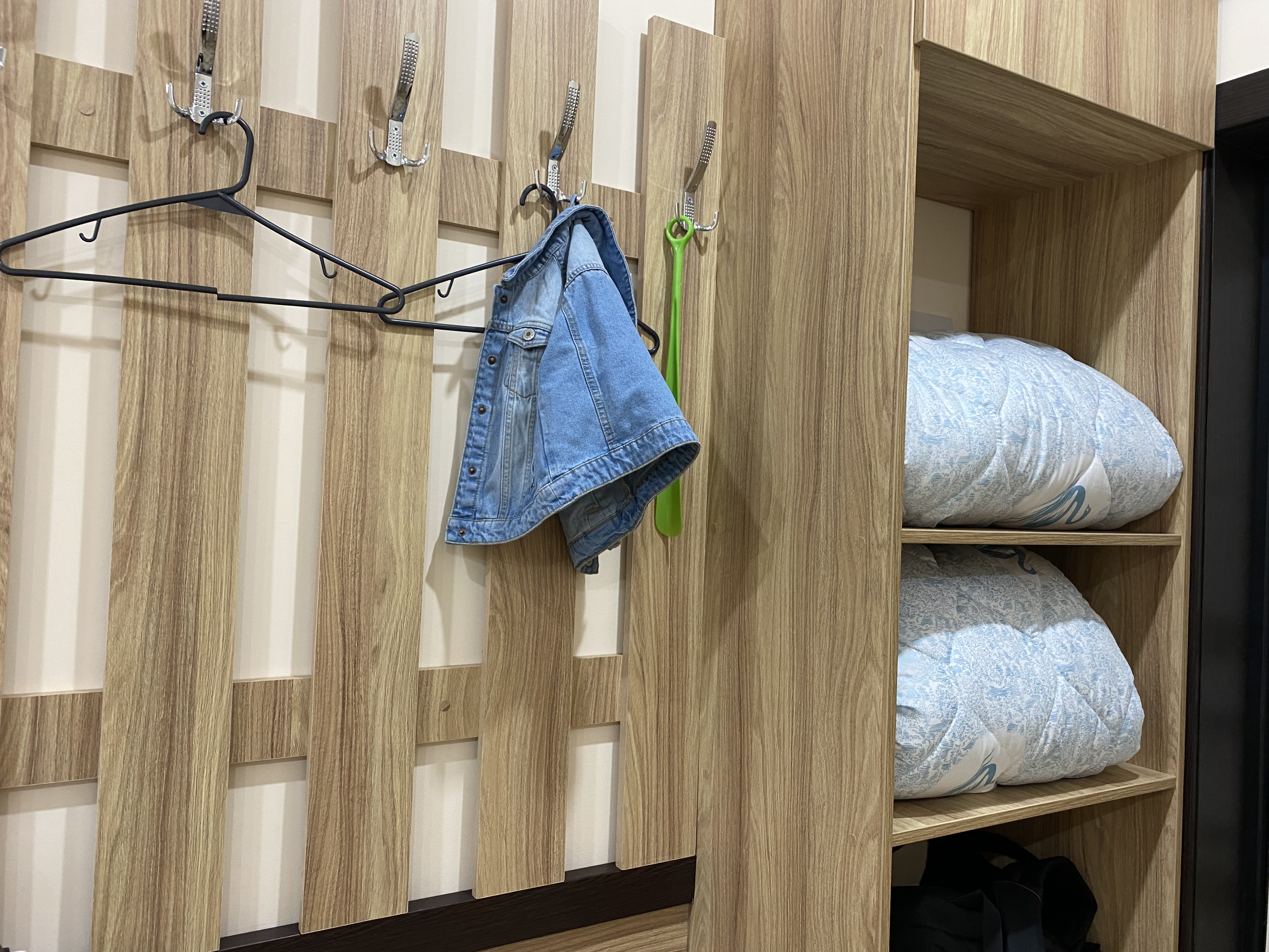 Фото Подсолнух