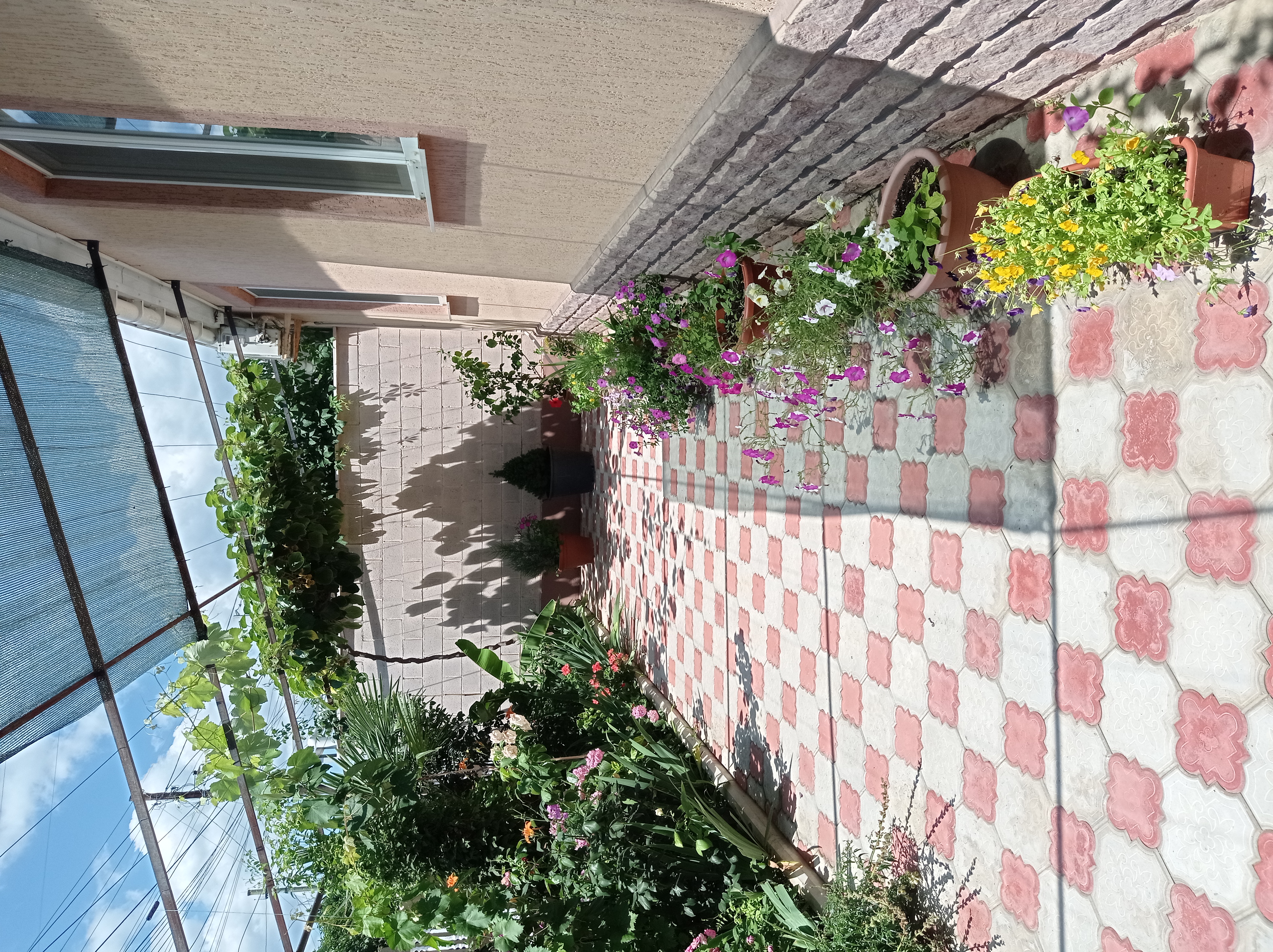 Фото У Татьяны