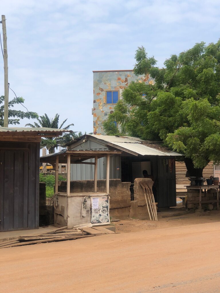 Market Emefa’s Fresh Tilapia, Earth, photo