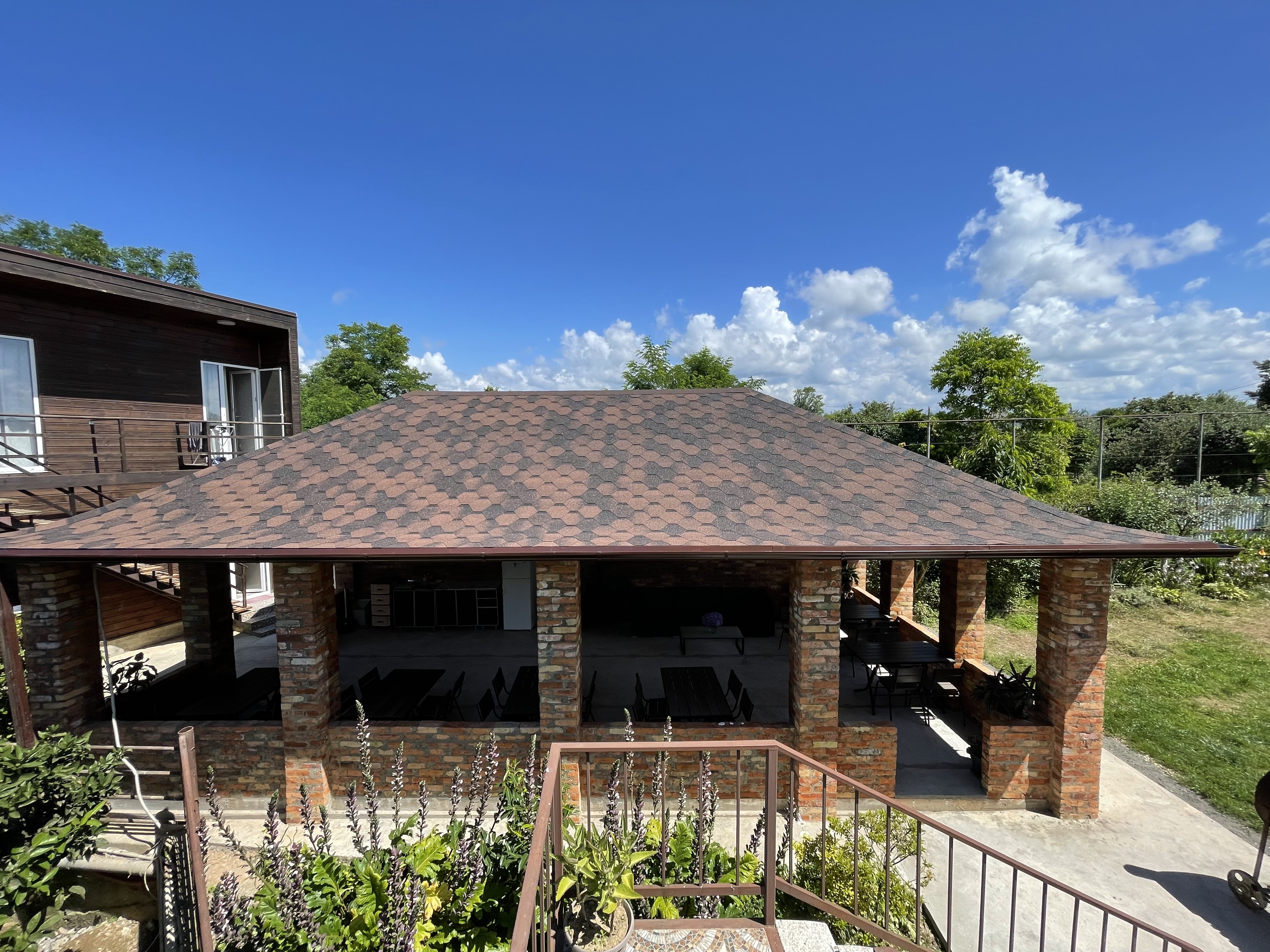 Фото Эвкалипт