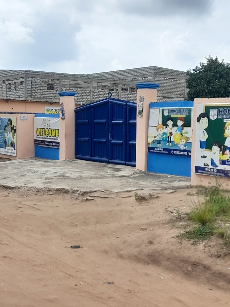 School Honey Field Montessori school, Earth, photo