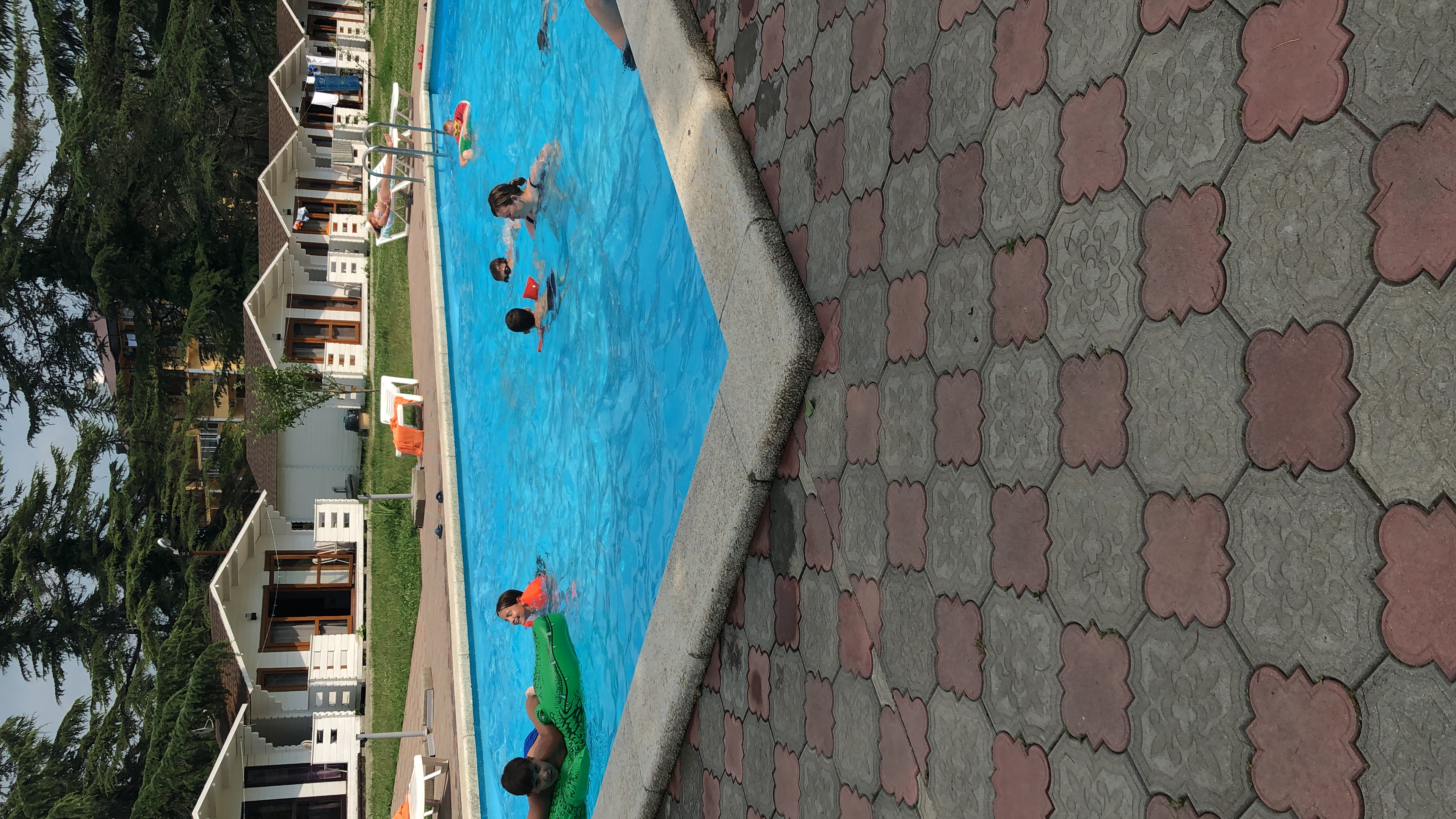 Фото Цитрус 1