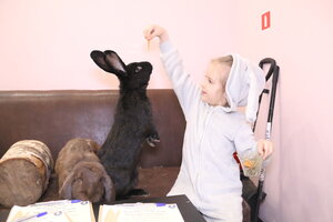 «Зайкафе» фото 1