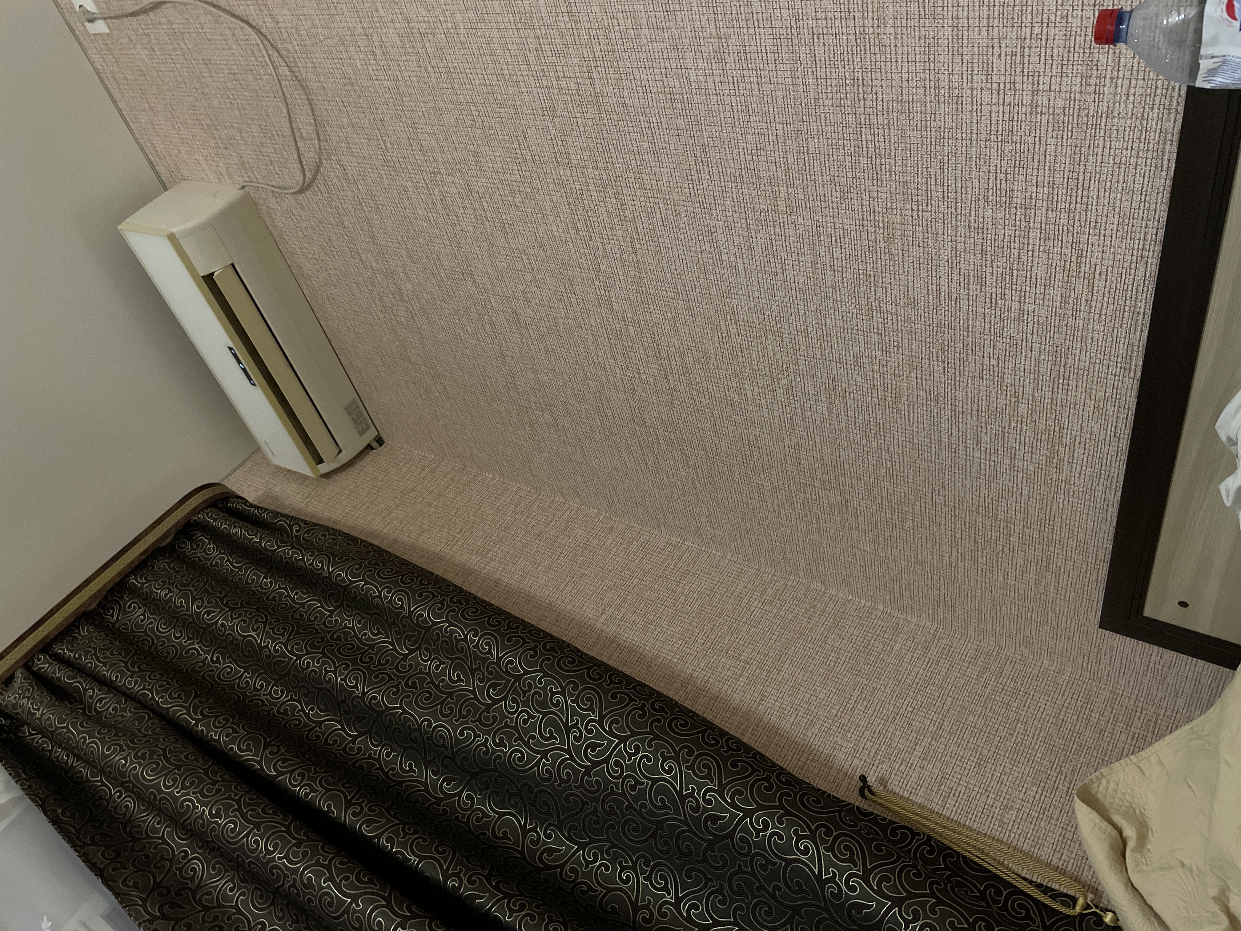 Фото Кипарис