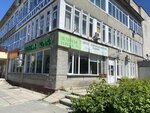 Green point (Oktyabrskaya Street, 3) ، محل زهور