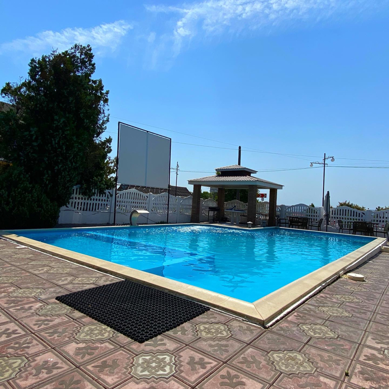 Фото Дружба