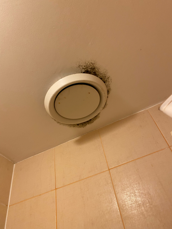 Фото Пшеничникофф