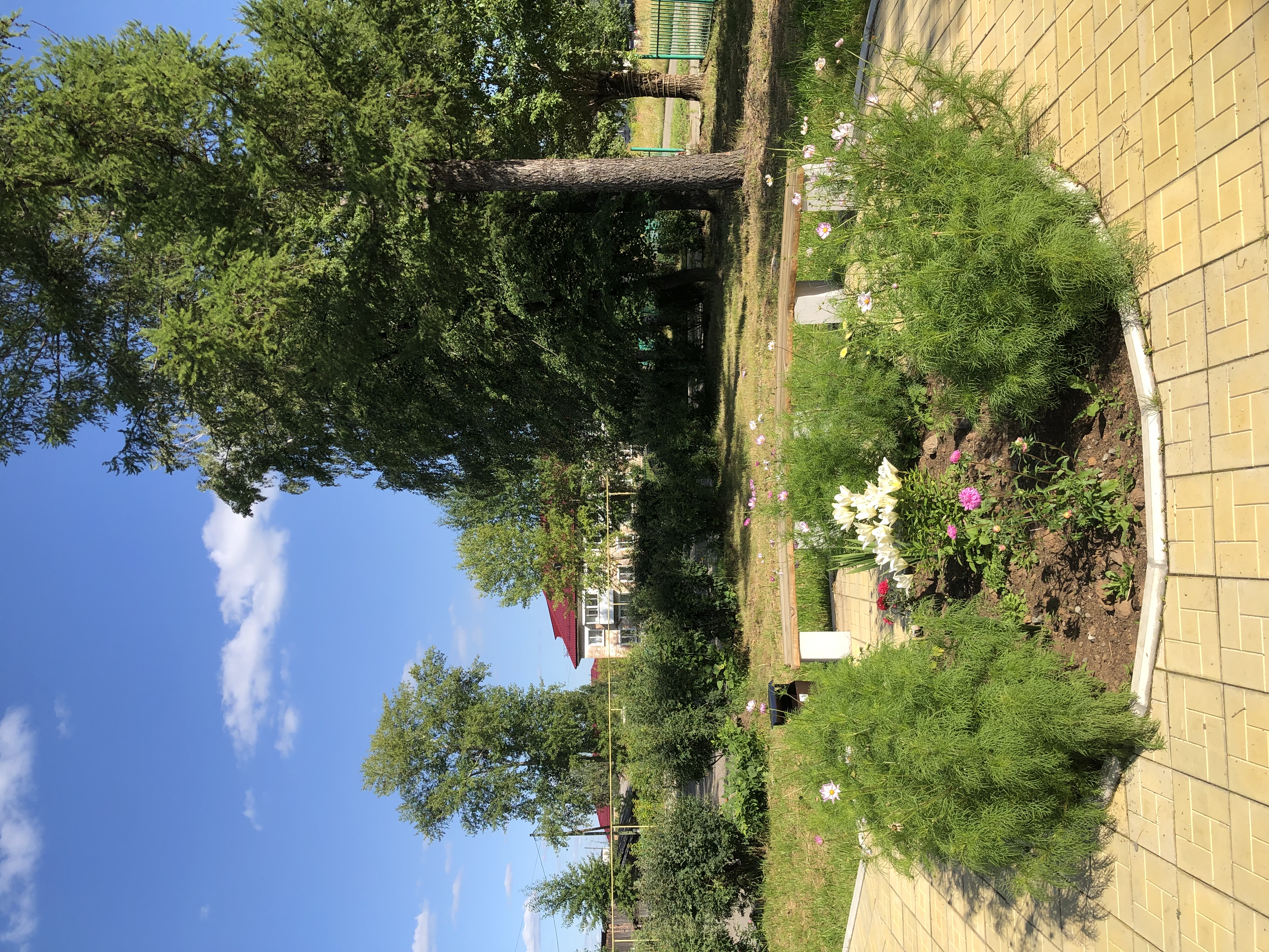 Фото Forest Hotel