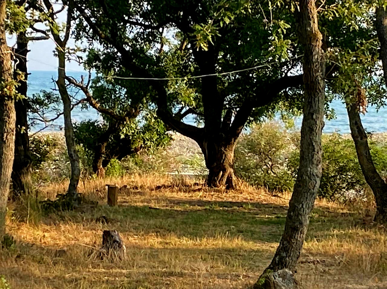 Фото Звезда