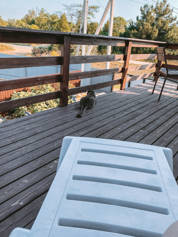 Фото Персей