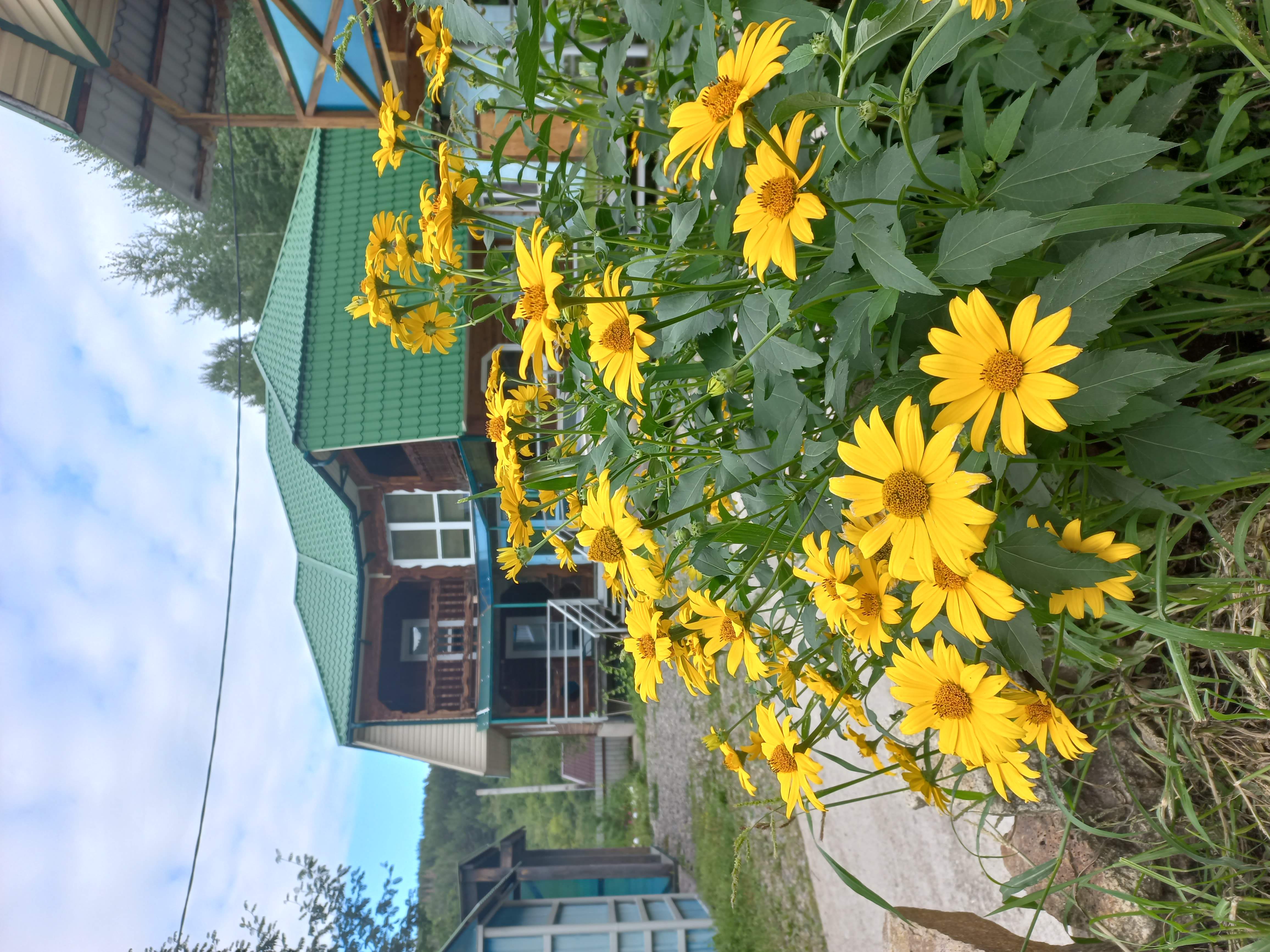 Фото Златогор