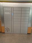 Сберлогистика (Saint Petersburg, Lensoveta Street, 88), parcel automat