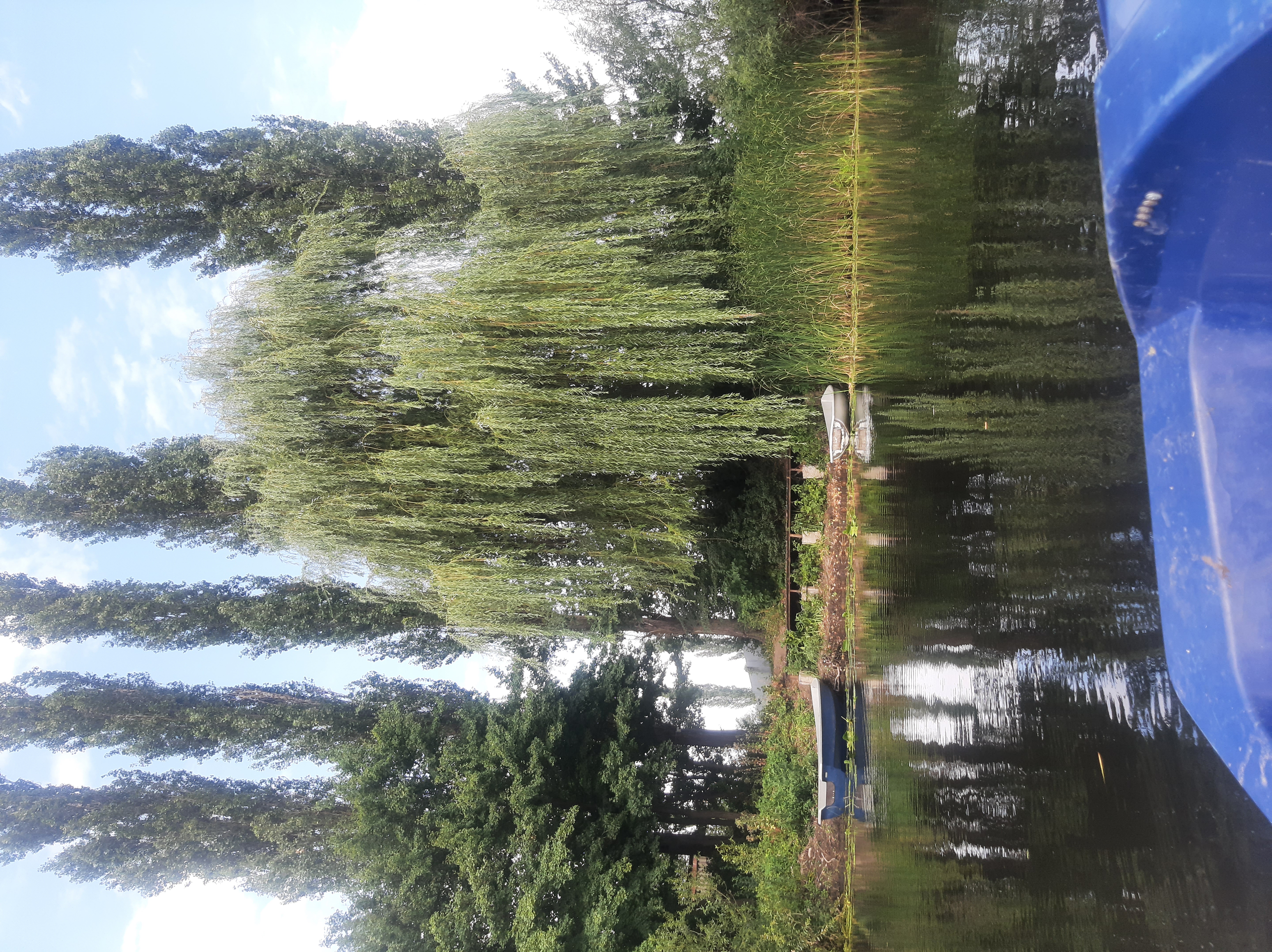 Фото Волшебница