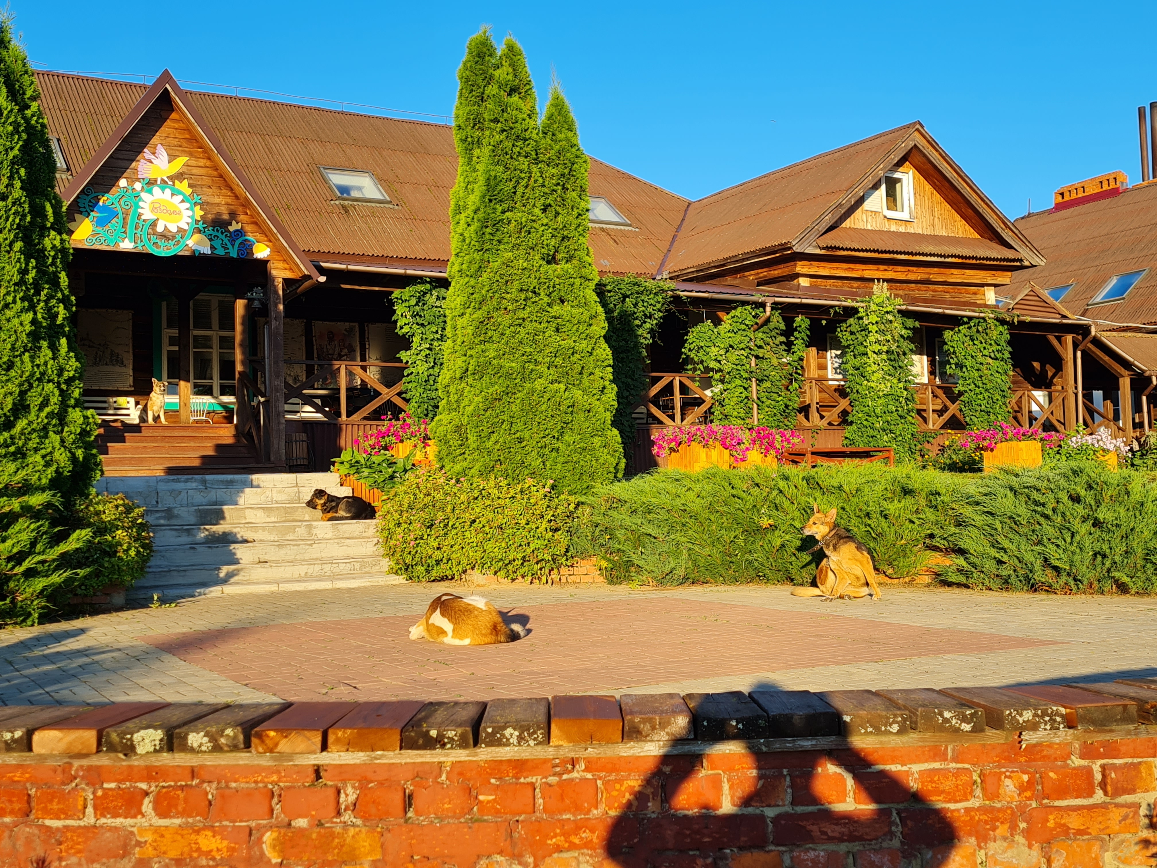 Фото Раздолье