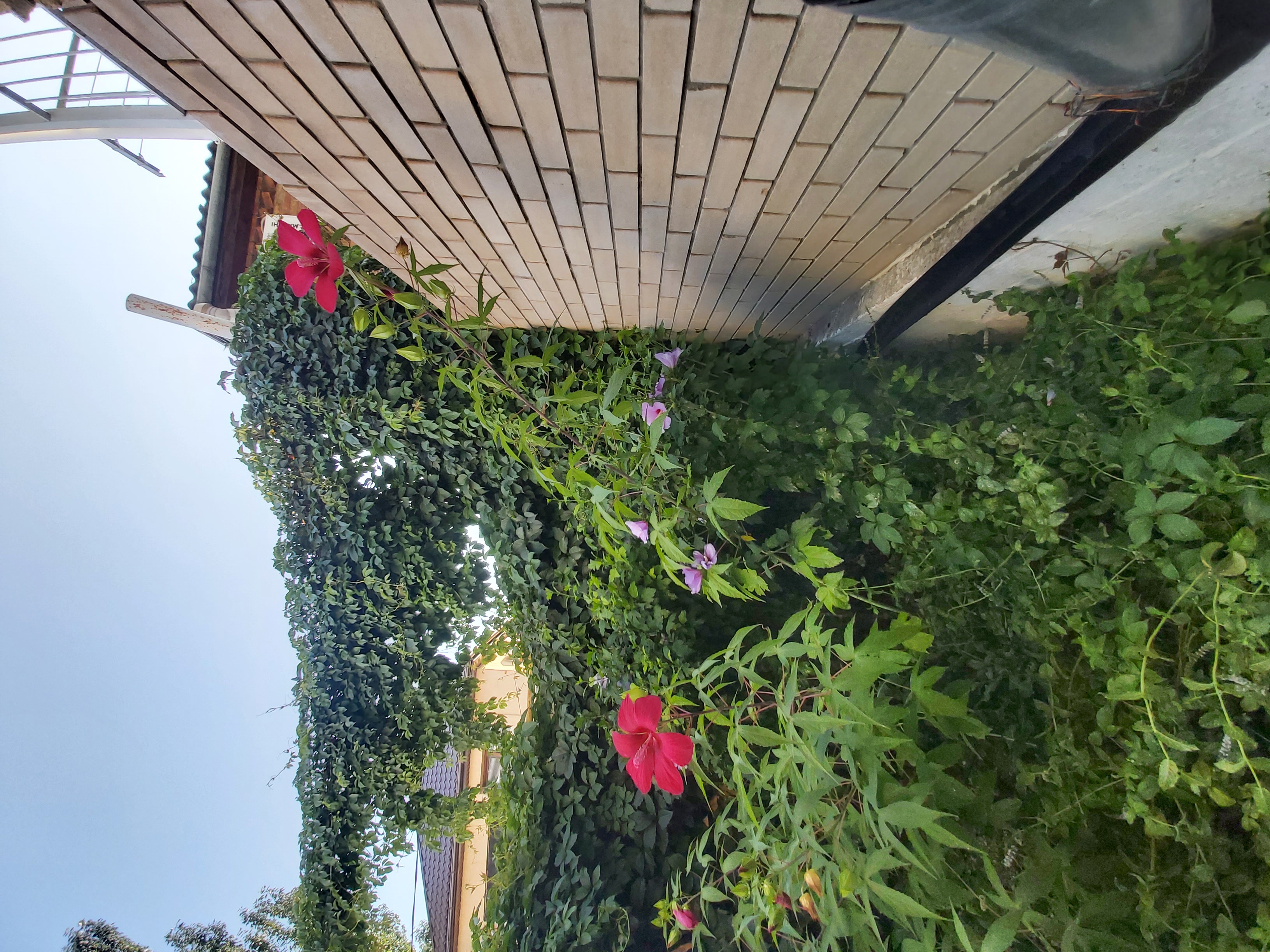 Фото Спортлото-82