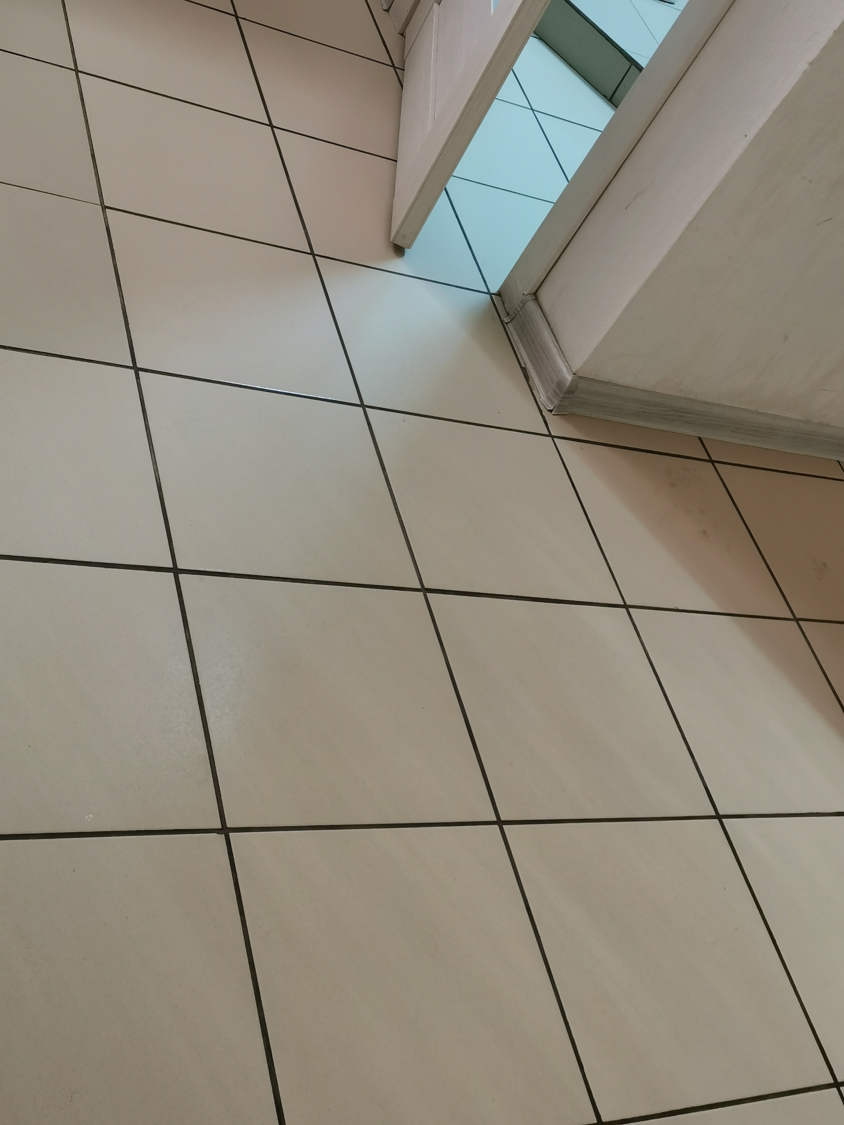 Фото Солнечный