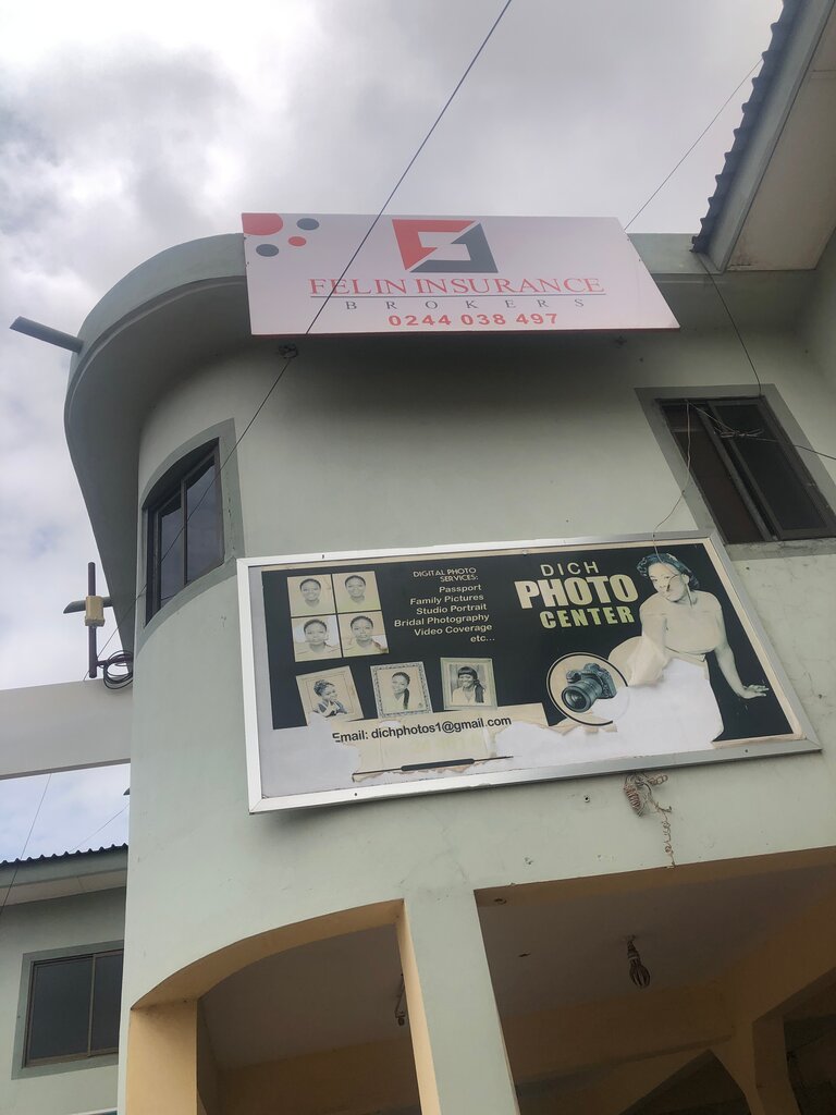 Insurance company Felin, Earth, photo