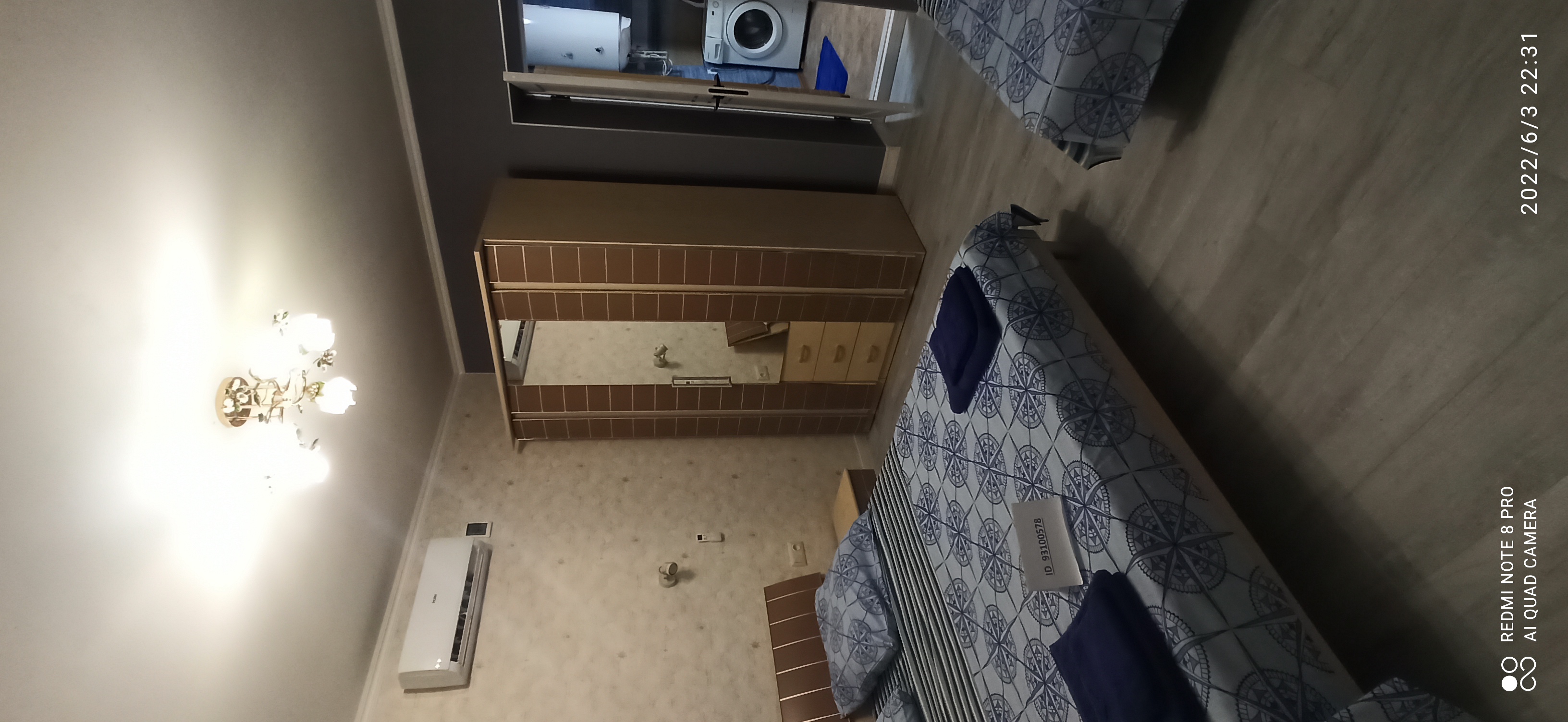 Фото Цветок папоротника