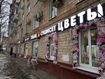 Flowers (Leninsky Avenue, 95), flower shop