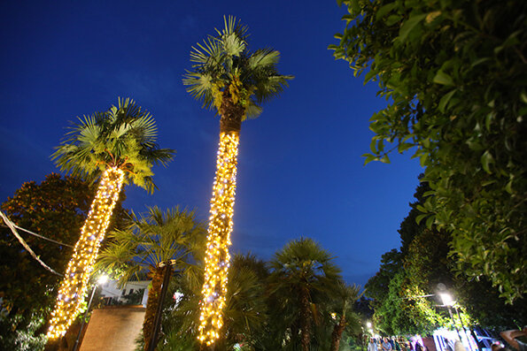 Фото Элизабет