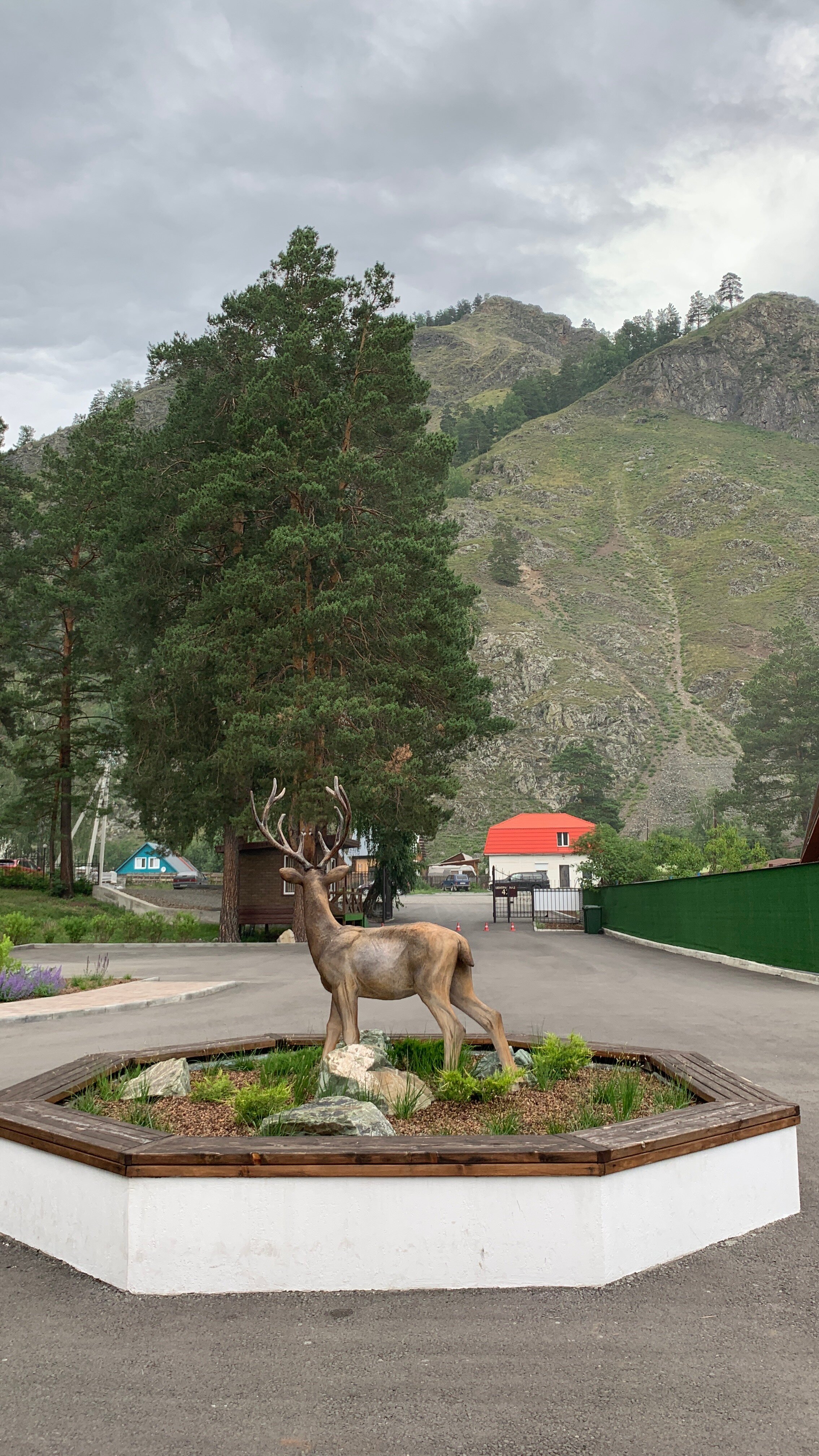 Фото Эко-отель Чемал