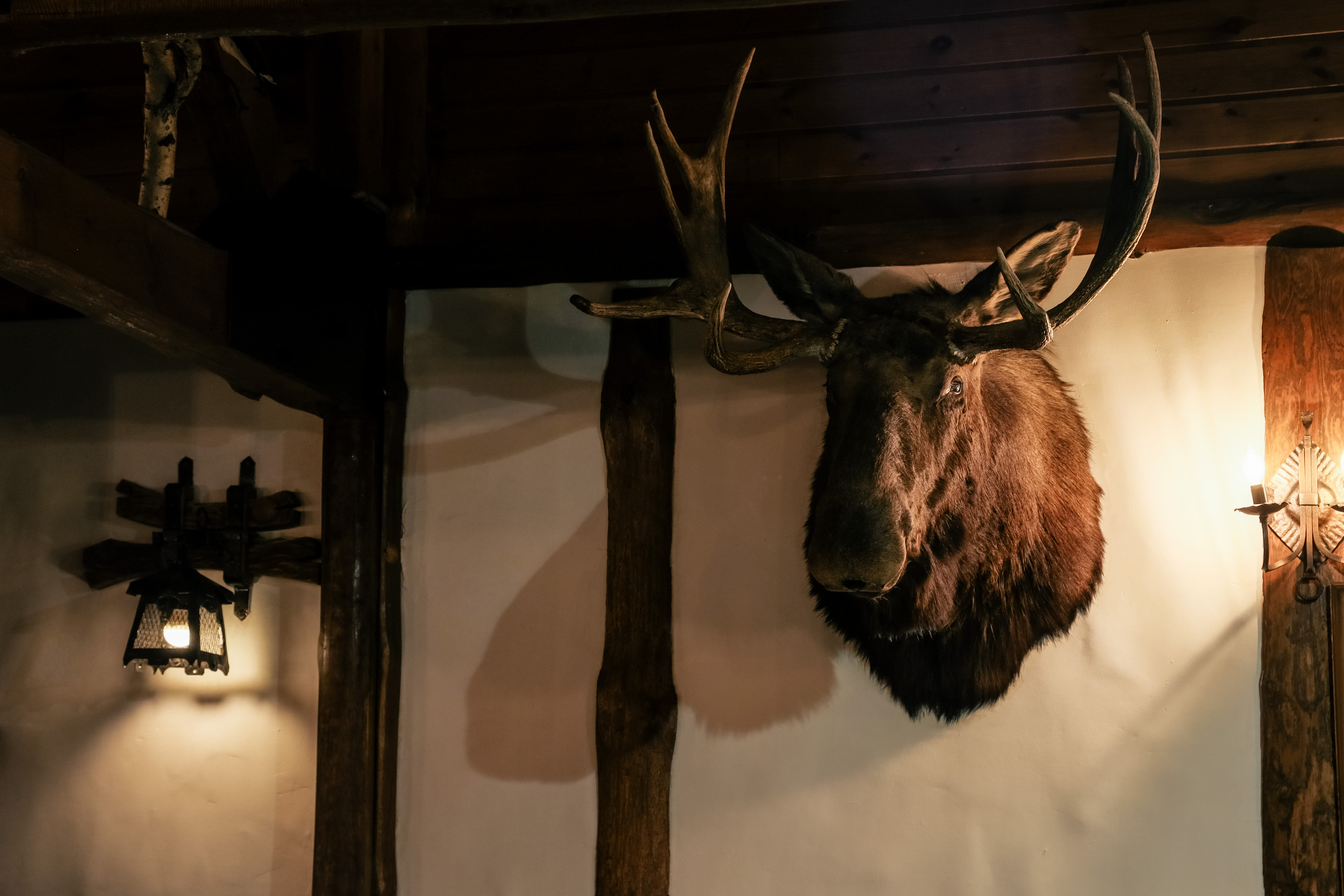 Фото Мельница