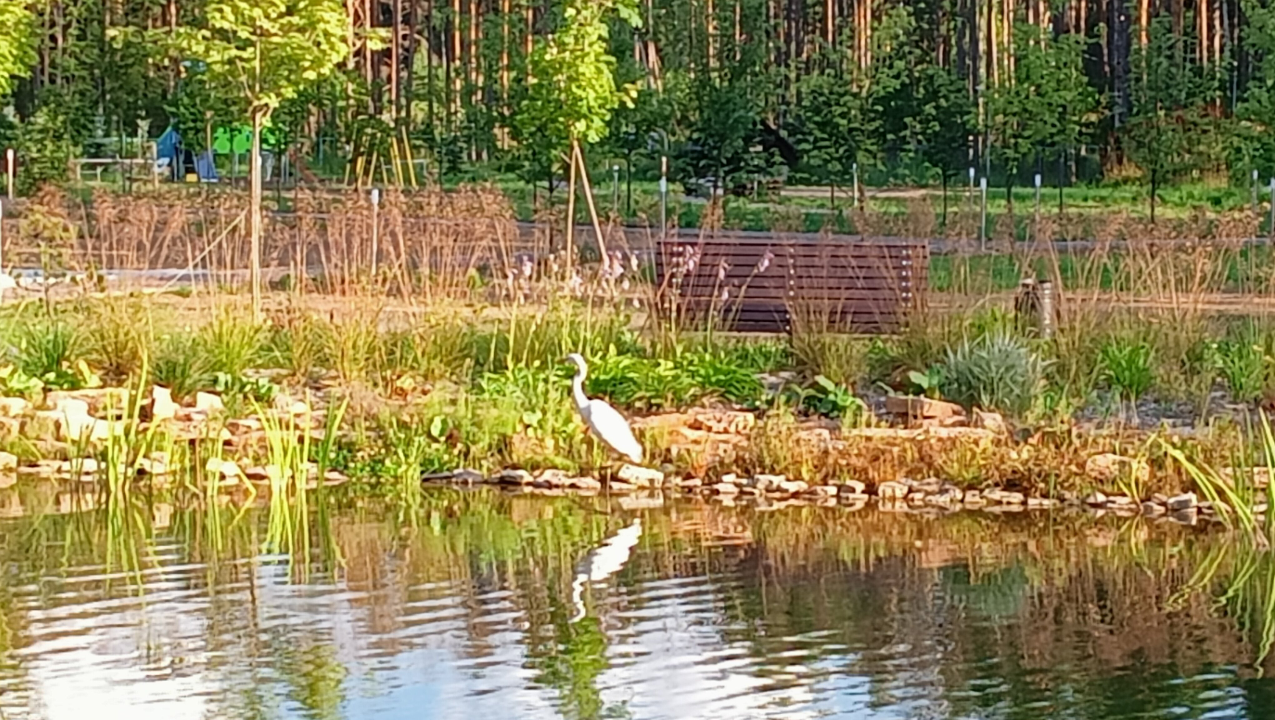 Фото Хуторок