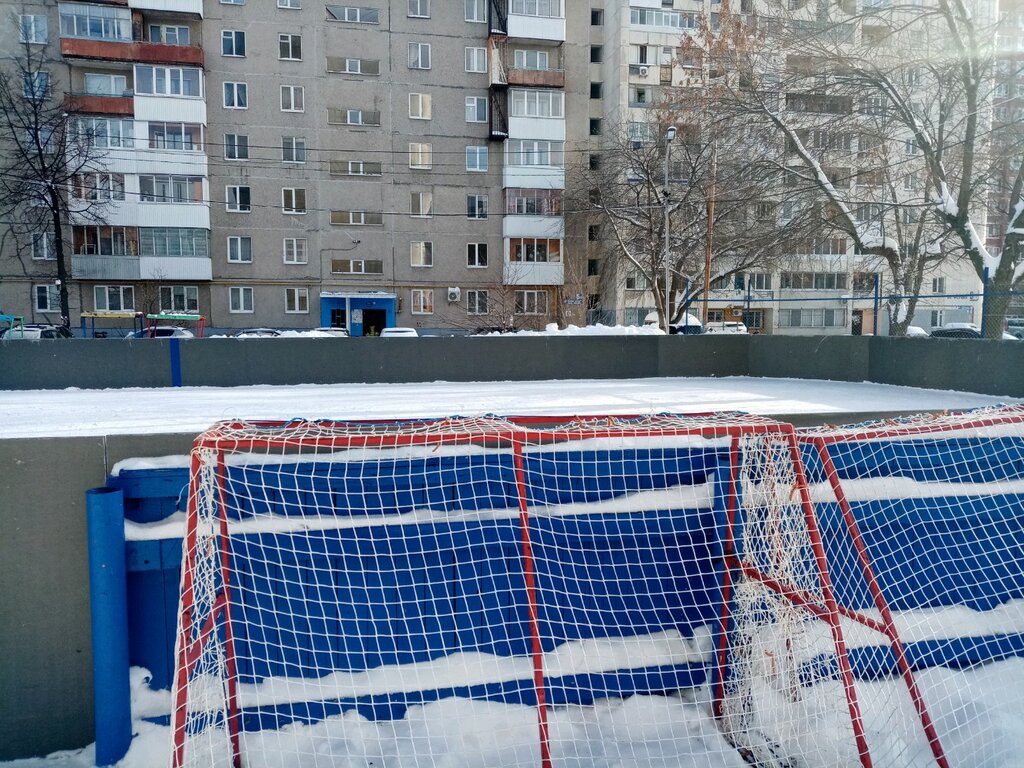 Dvorovaya territoriya, skating rink, Russia, Moscow, Tashkentskaya Street, 4к2 -