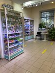 Dalpharma (Muravyova-Amurskogo Street, 11), pharmacy