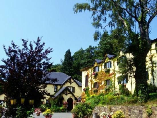 Гостиница Aherlow House Hotel And Lodges