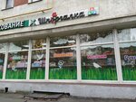 Шпаргалка (Tashkentskaya Street, 19), stationery store
