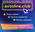 Avtoline (Michurinskaya Street, 48), auto parts and auto goods store