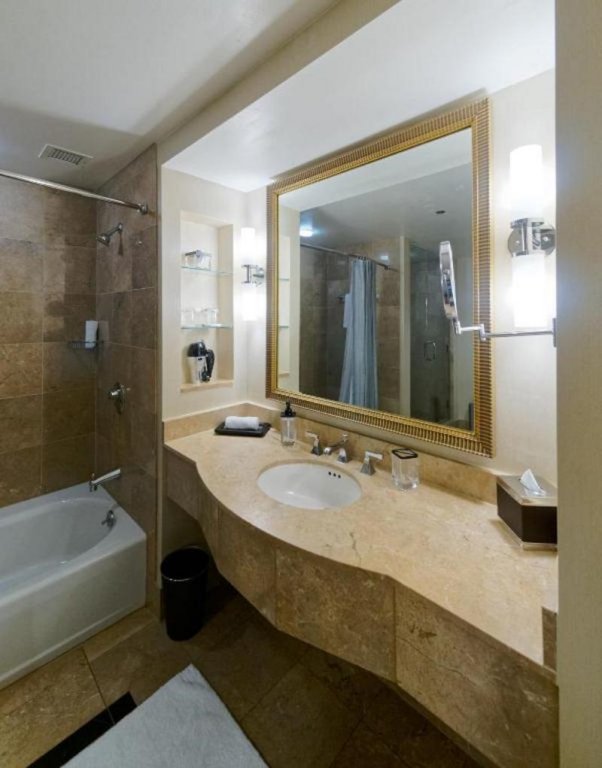 Фото Grand Hyatt Atlanta in Buckhead