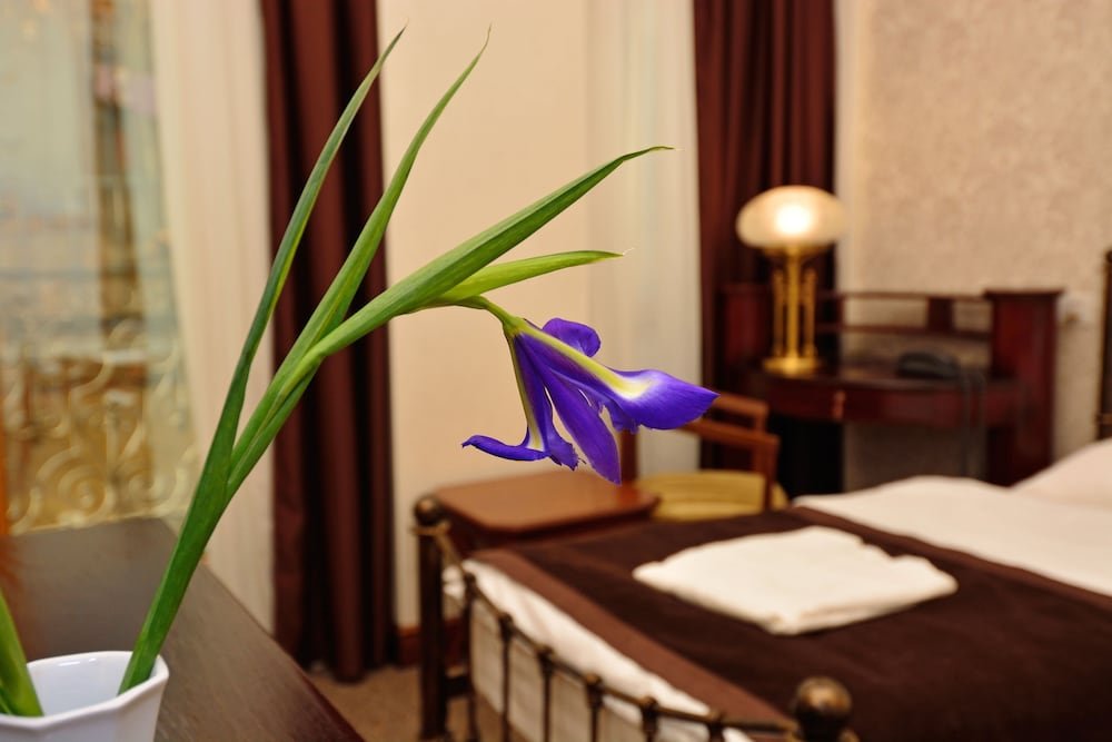 Фото Вилла Мтеби