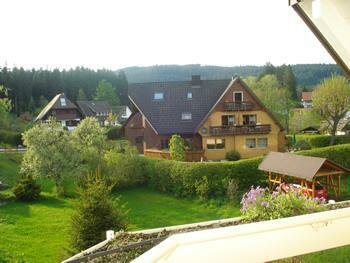 Гостиница Sunside Wellness-Oase Hotel Apartment'S Schwarzwald Am Schluchsee