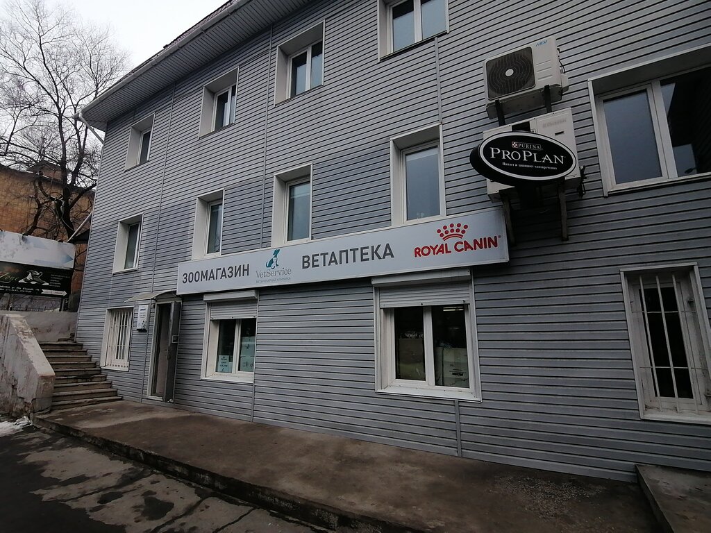 Veterinary clinic Vet-Servis, Vladivostok, photo