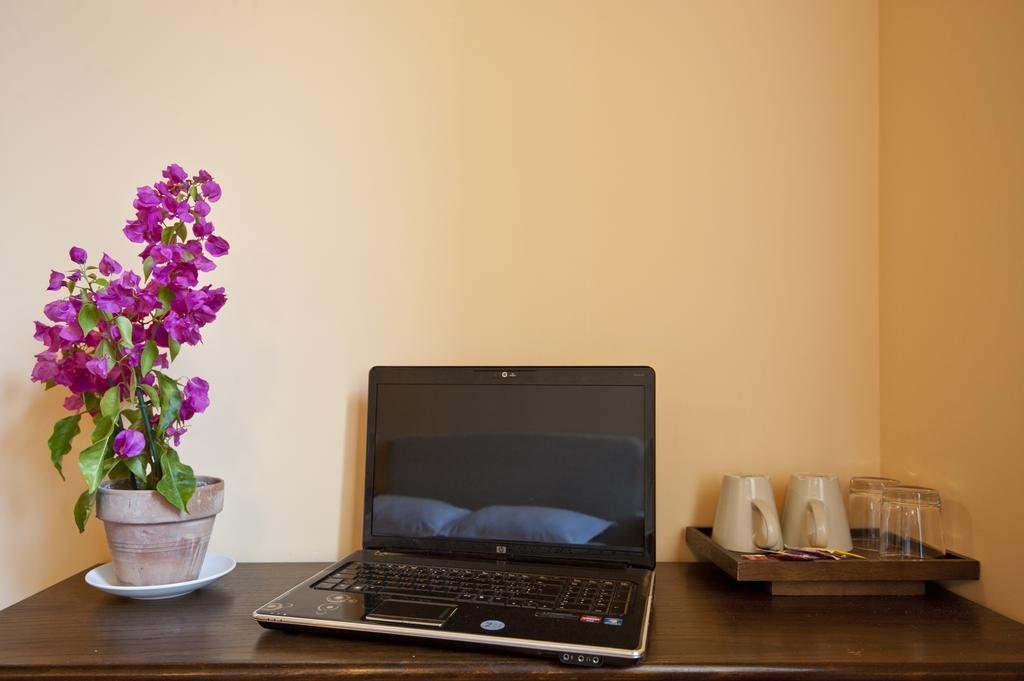 Фото History Suite