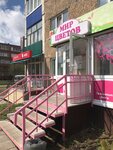 Мир цветов (ulitsa 20 let Pobedy, 17), flower shop