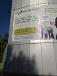 Goodwill (Mirzo Ulugbek Street, 56A), recruitment agencies, vacancies