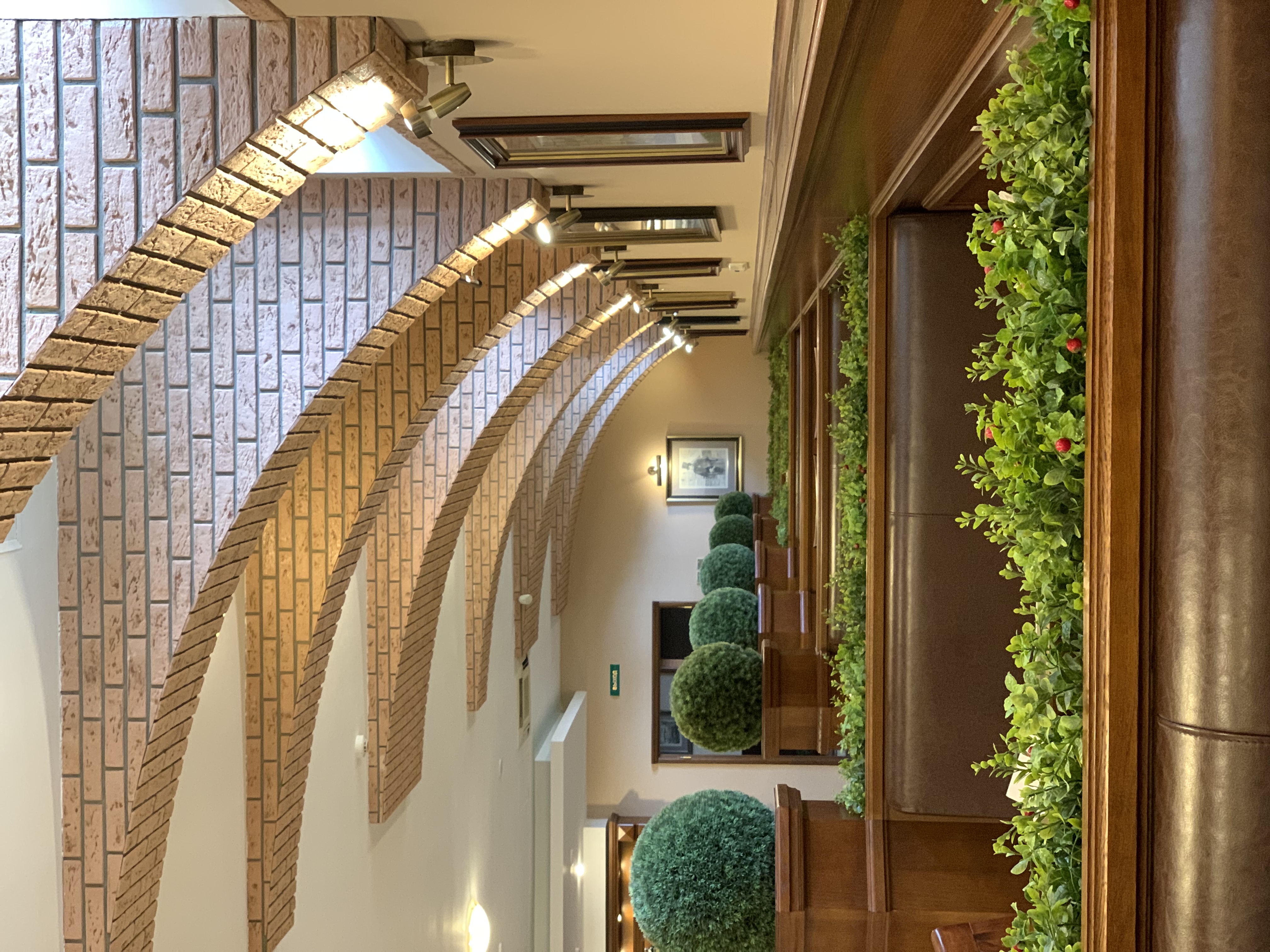 Фото Самсон