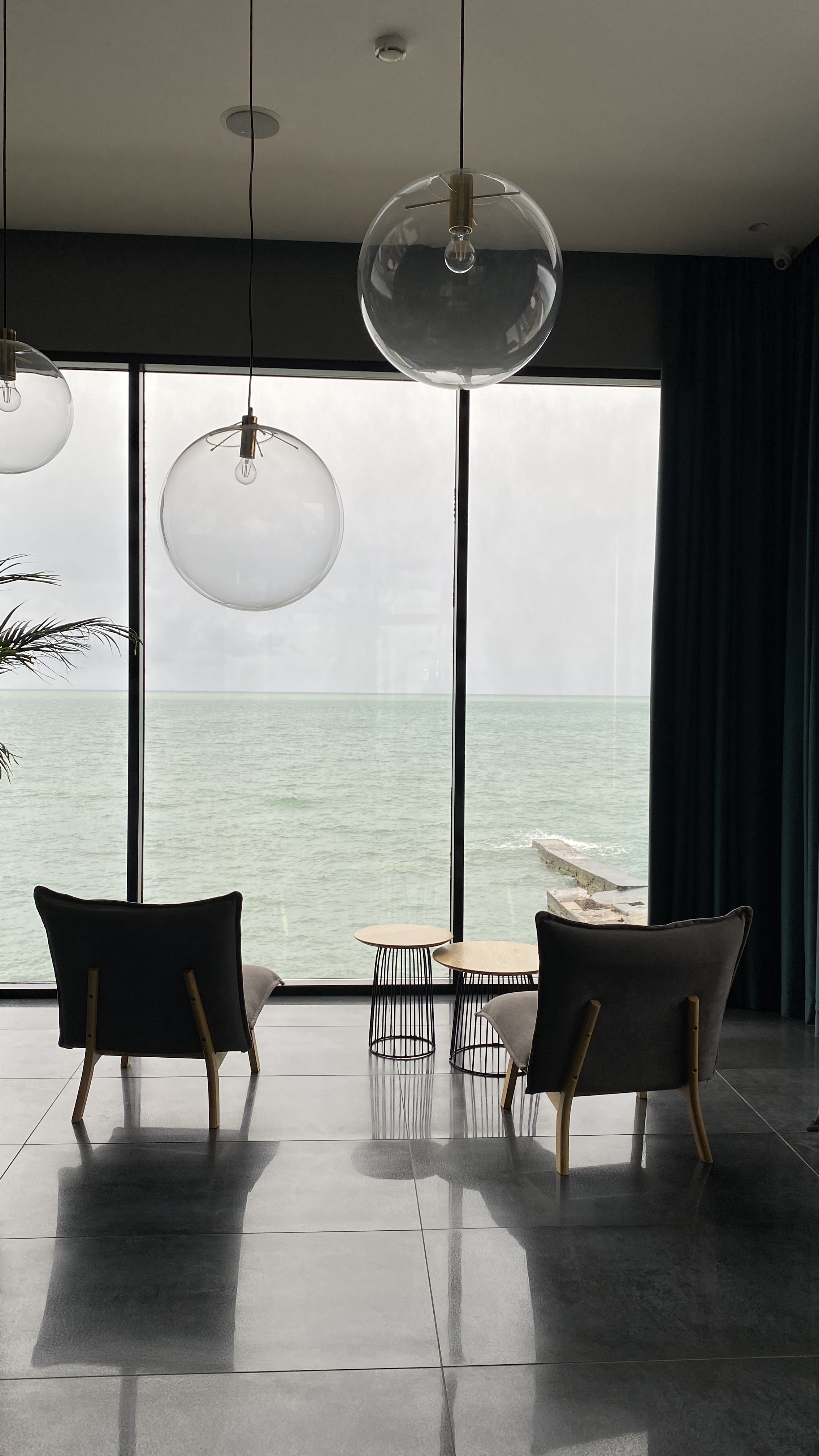 Фото Полёт Чайки