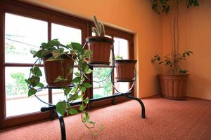 Гостиница Hotel Anastasia