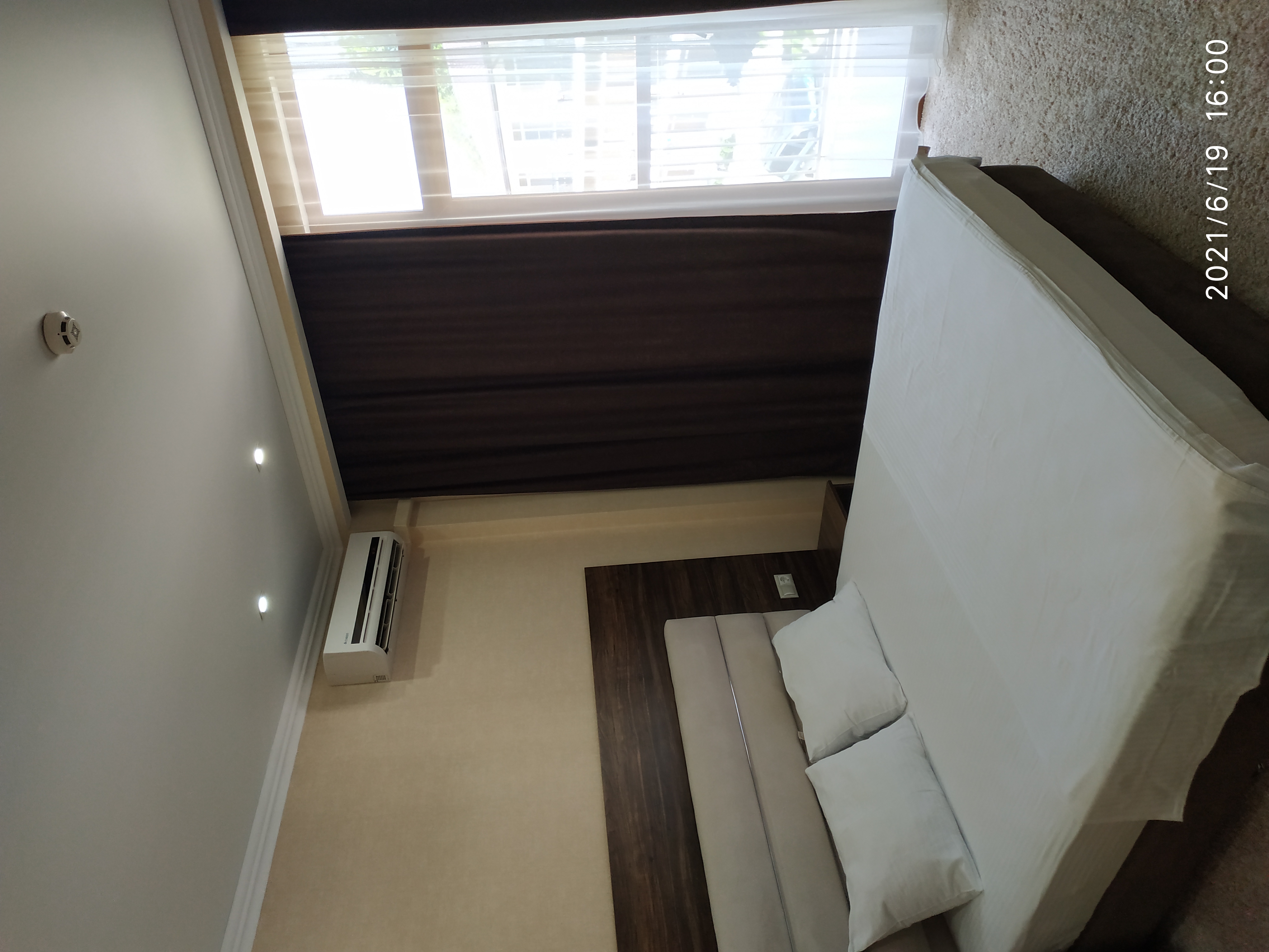 Фото Пальма