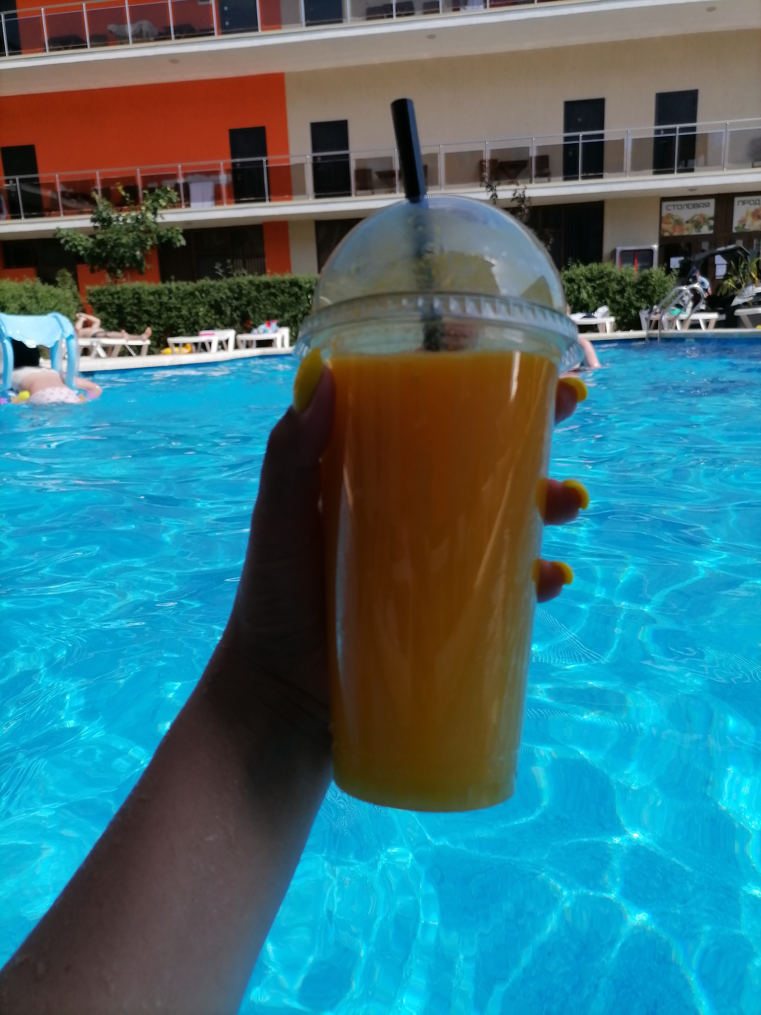 Фото Анести