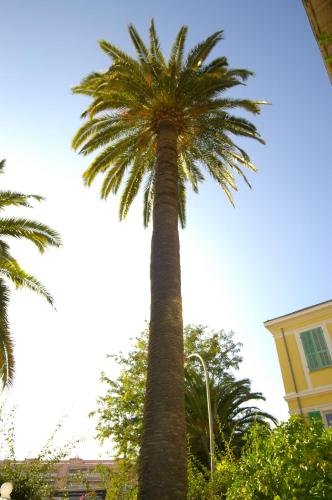 Фото Hotel Lemon