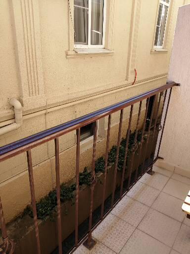 Фото Репруа