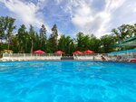 Zeleny Bereg (Lesoparkovoye Highway, 81), resort