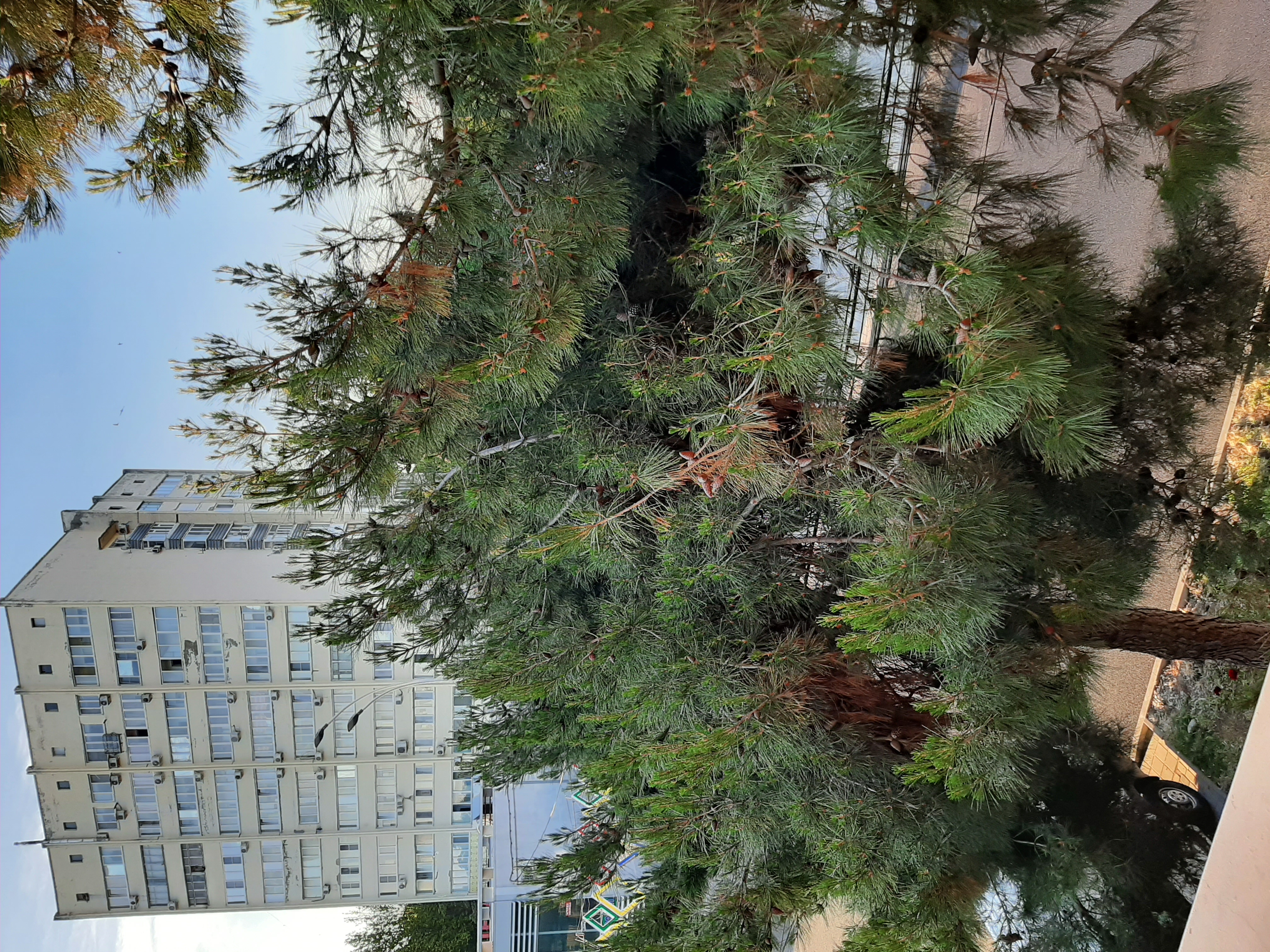 Фото Илиадис