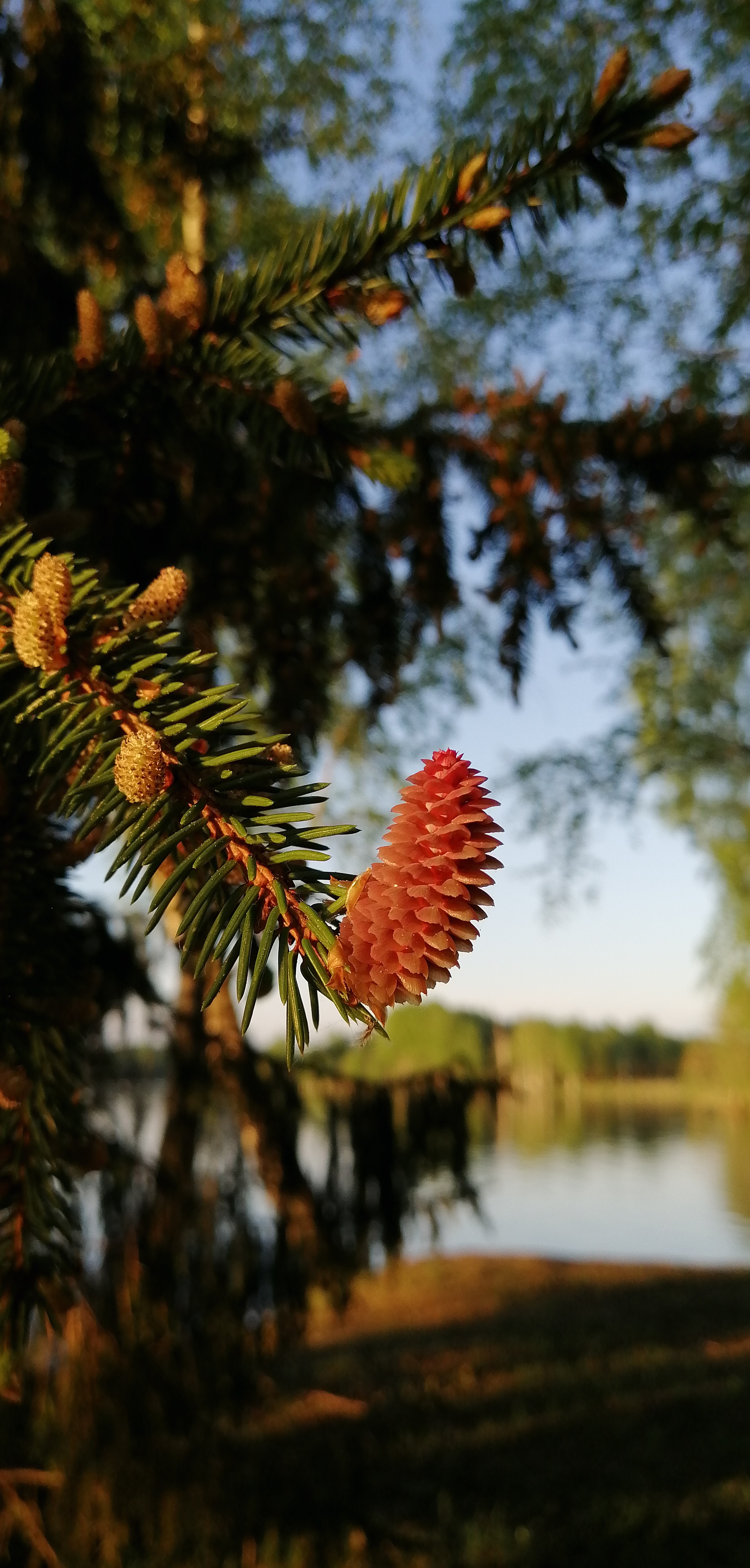 Фото Великое Озеро